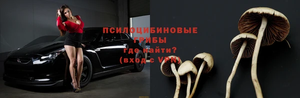 тгк Каменск-Шахтинский