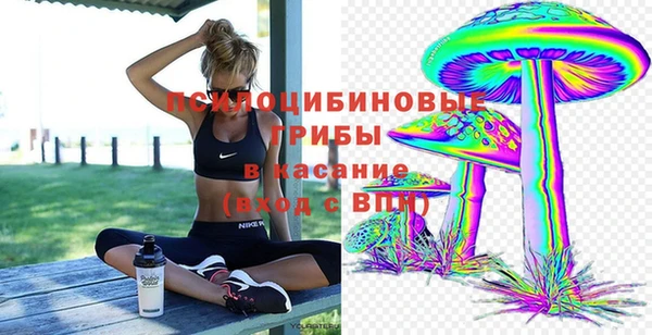 тгк Каменск-Шахтинский