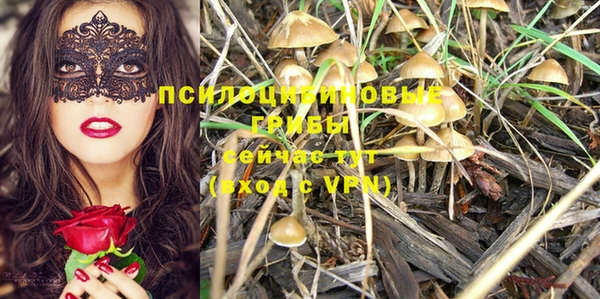экстази Каменка