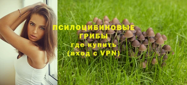 экстази Каменка