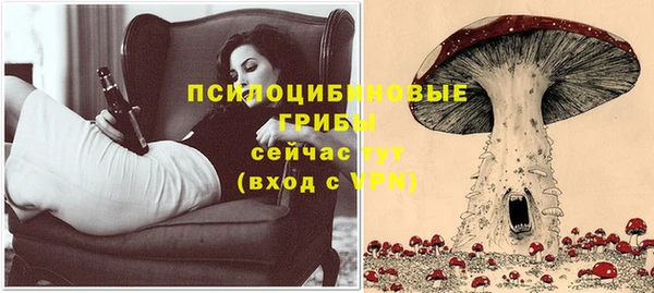 экстази Каменка