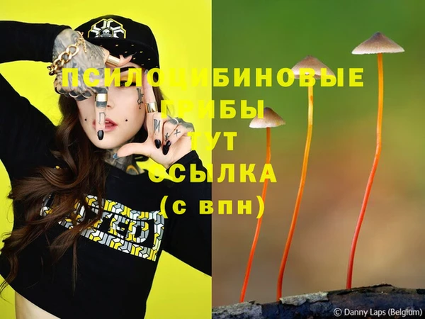экстази Каменка