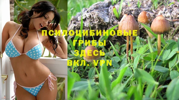 каннабис Каменногорск