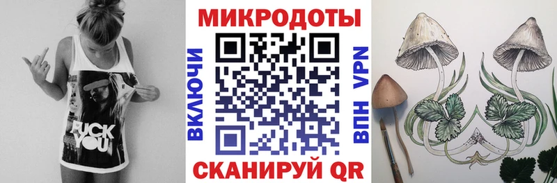 Купить закладки  Белёв  Галлюциногенные грибы Psilocybe 