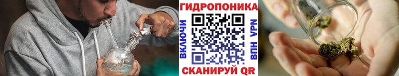 Шишки марихуана White Widow  Купить закладки  Белёв 